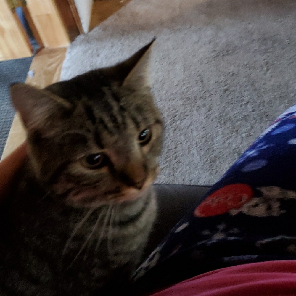 Meet your Posher, Chelsea